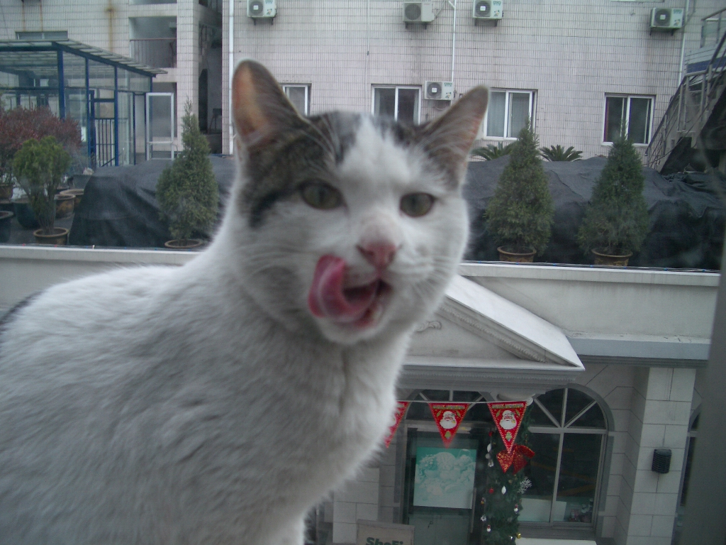 IMGP2827.JPG