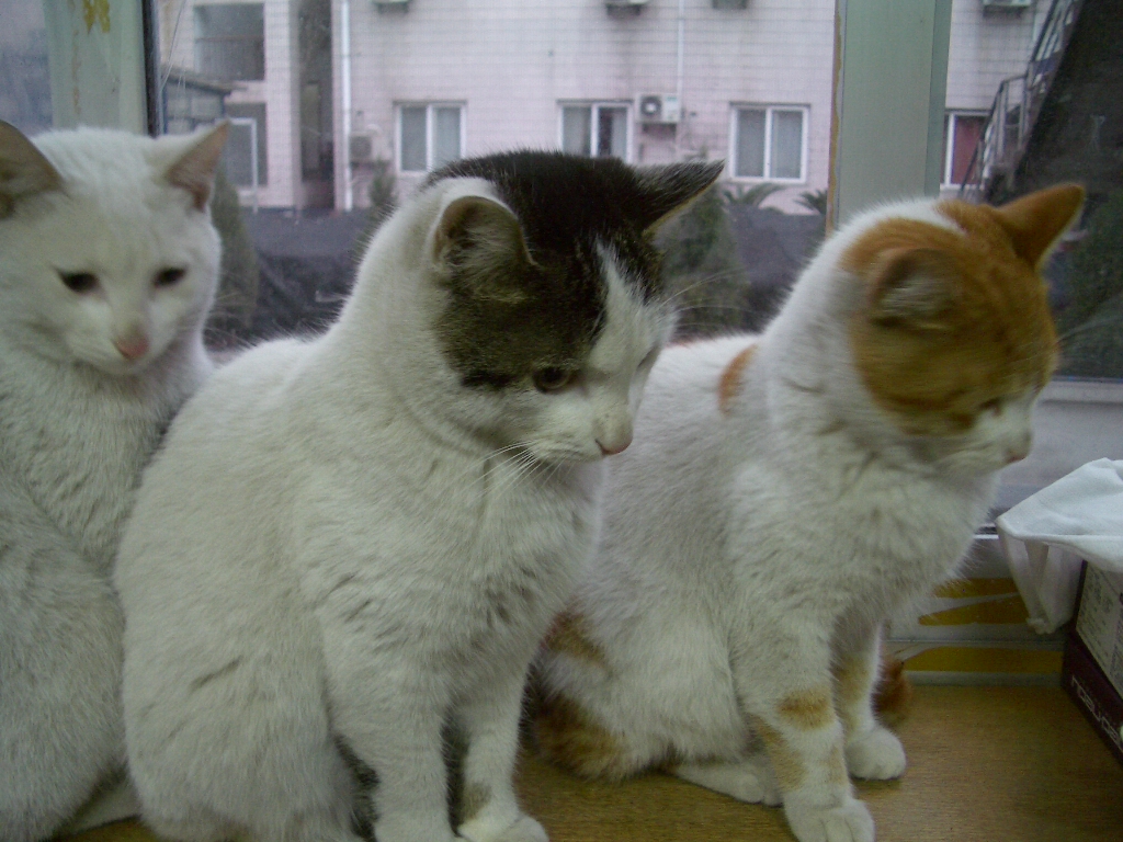 IMGP2848.JPG