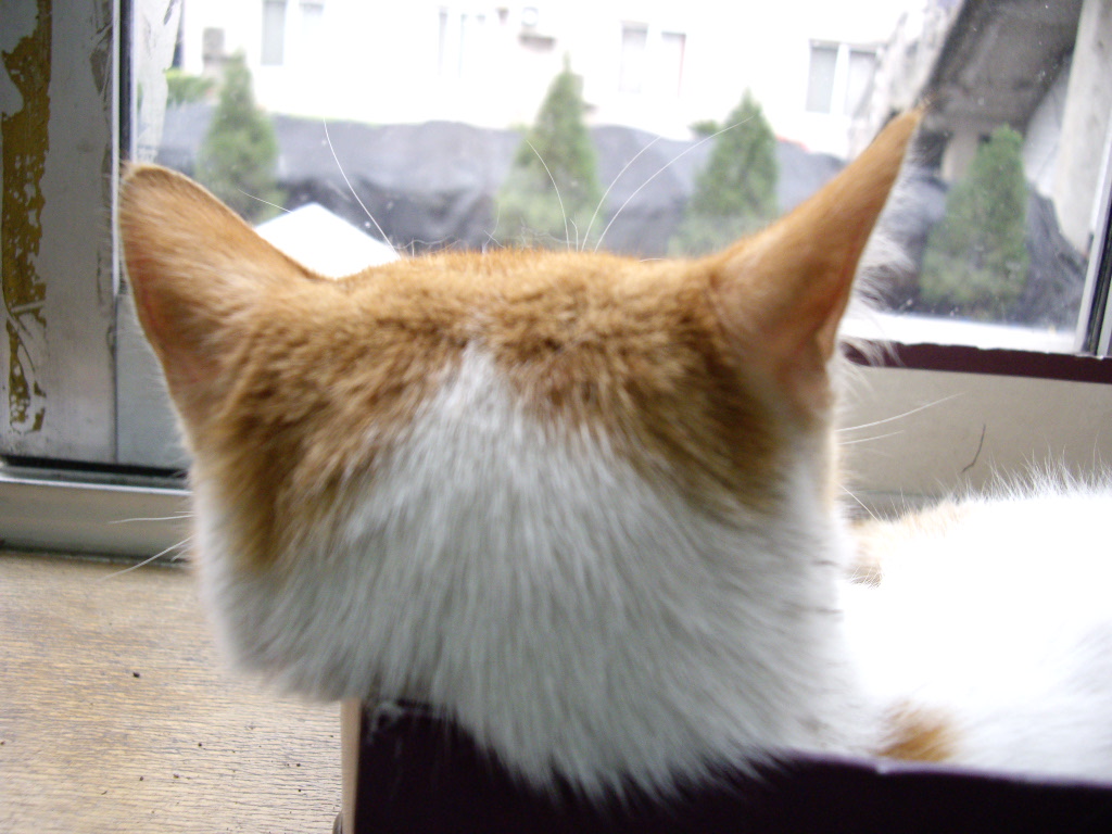 IMGP2893.JPG