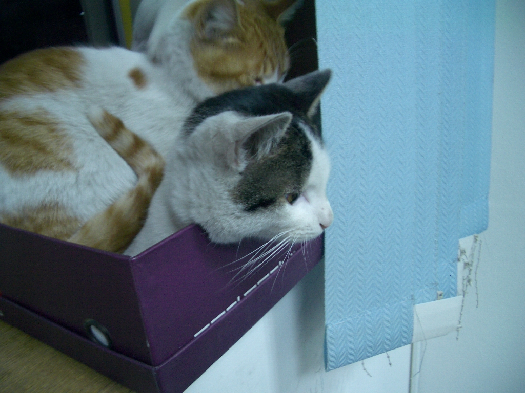 IMGP2914.JPG