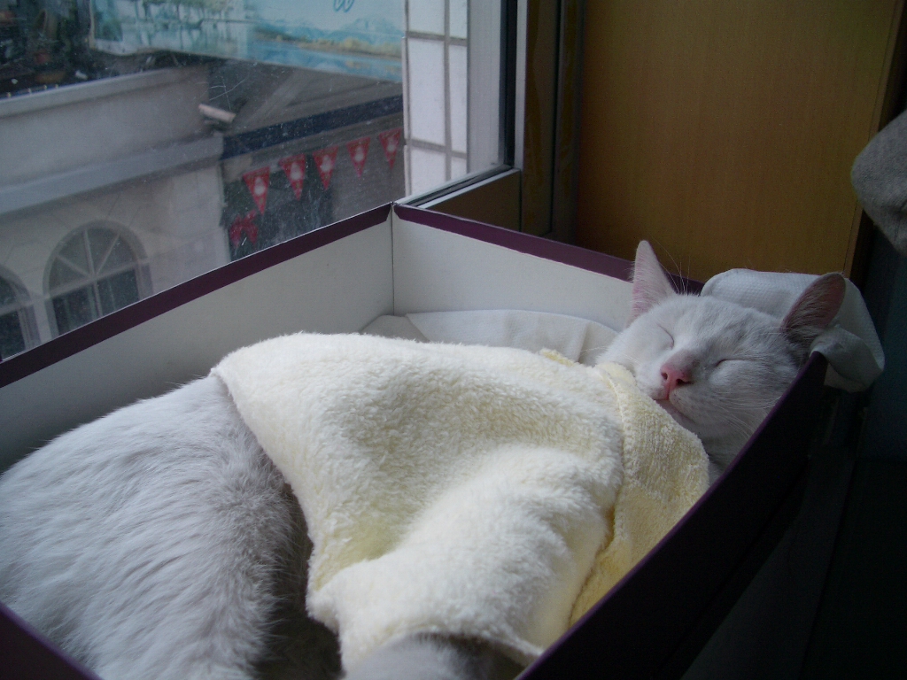 IMGP2953.JPG