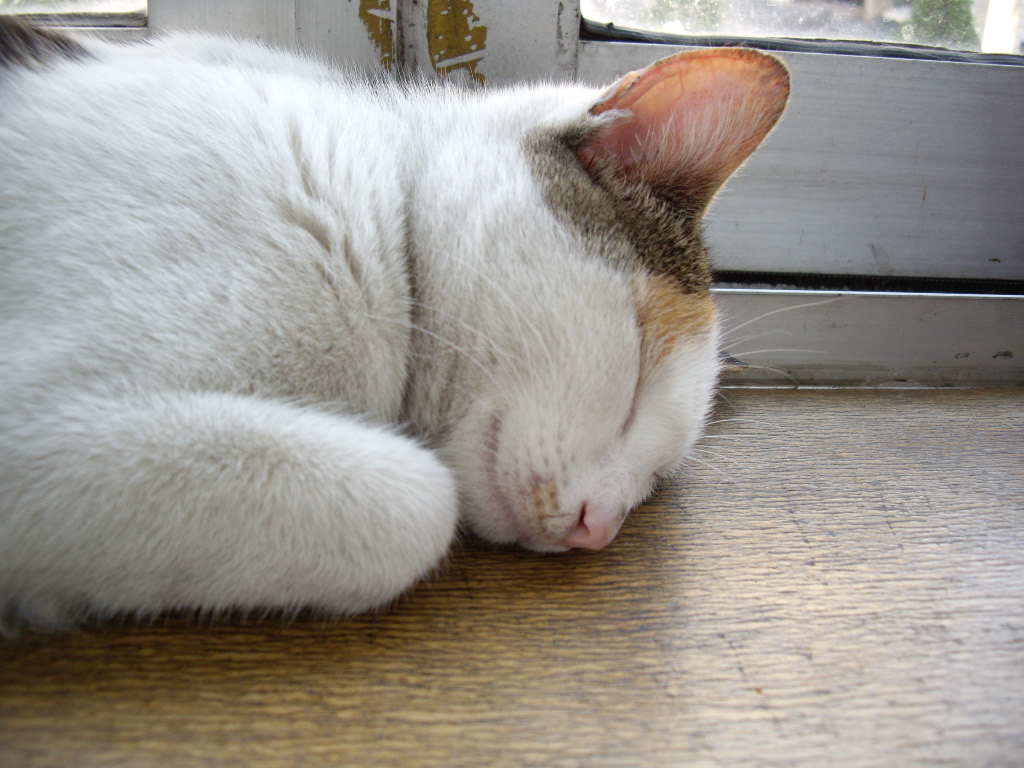 IMGP3069.JPG