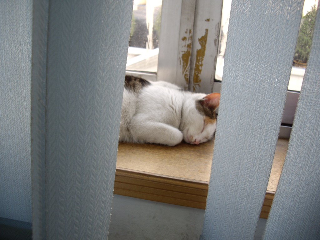 IMGP3070.JPG