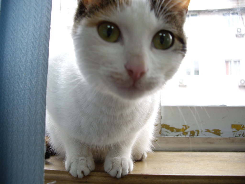 IMGP3108.JPG