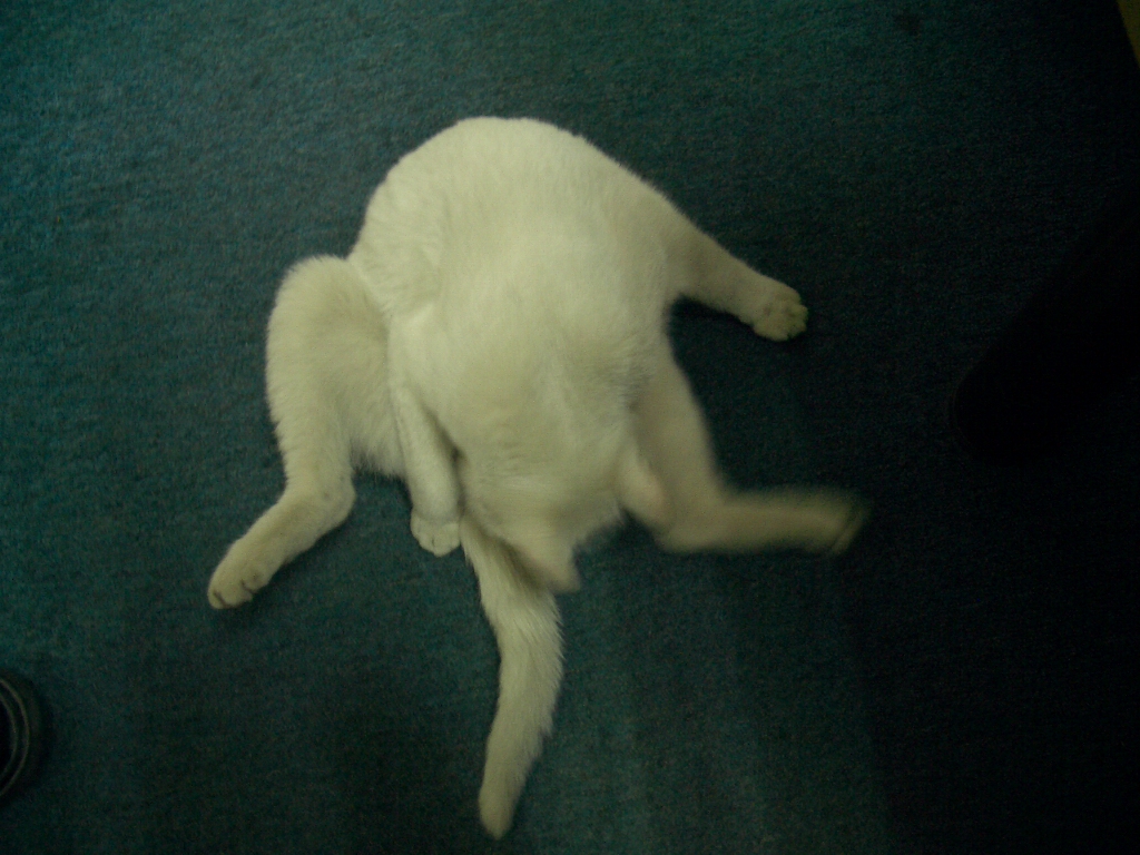 IMGP3193.JPG