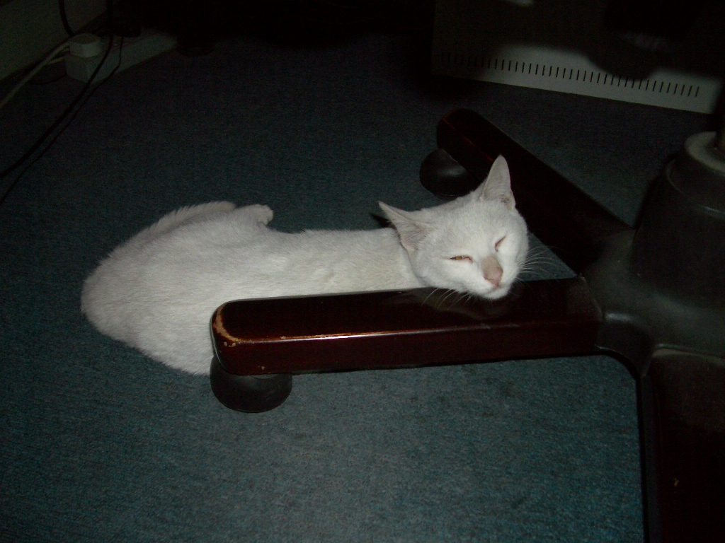 IMGP3208.JPG
