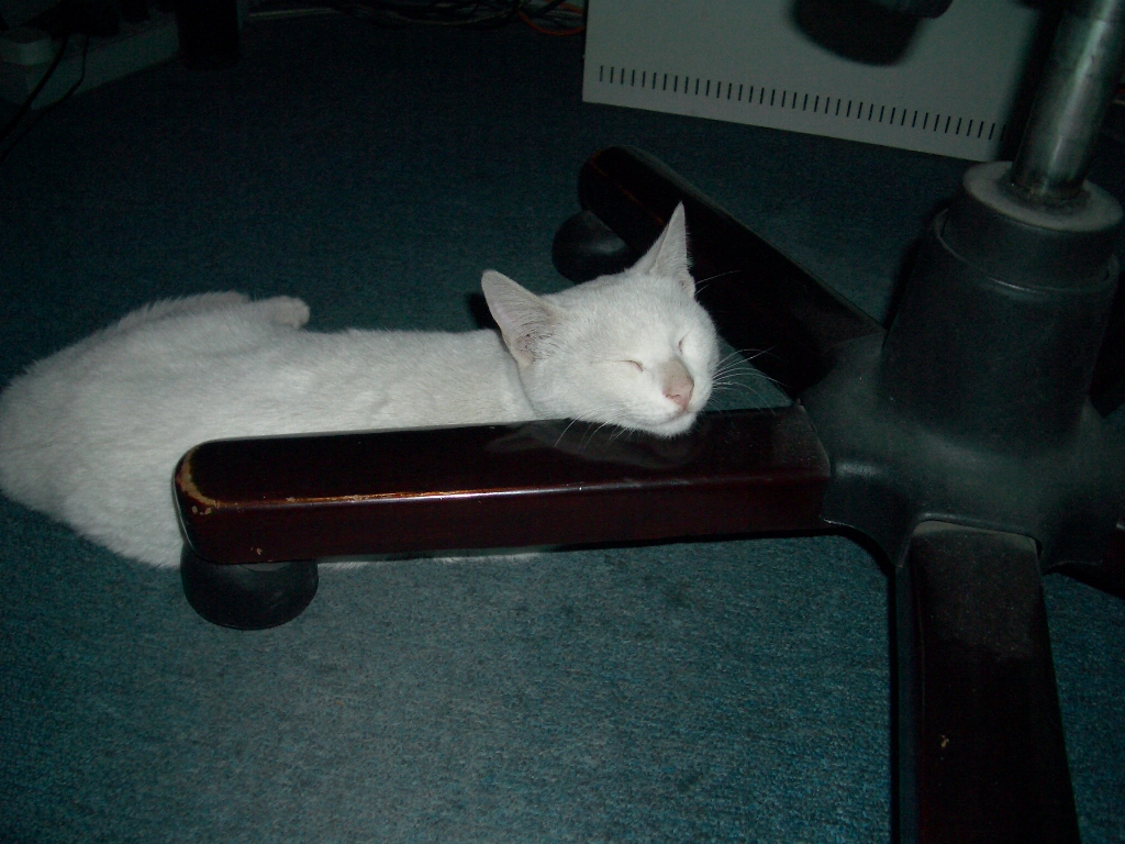 IMGP3209.JPG