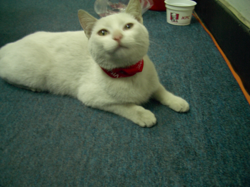 IMGP3211.JPG