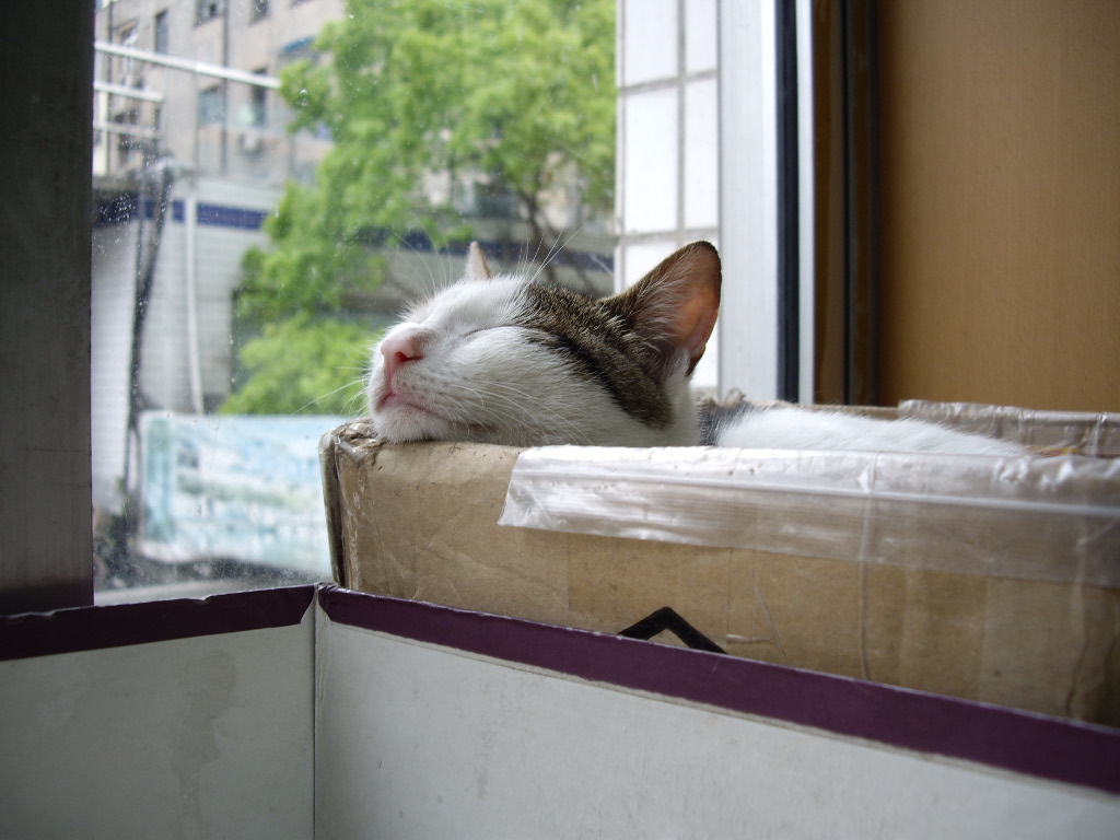 IMGP3258.JPG