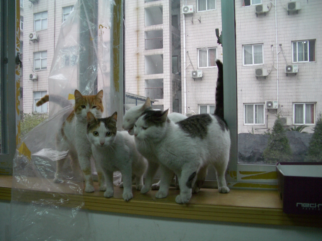 IMGP3318.JPG