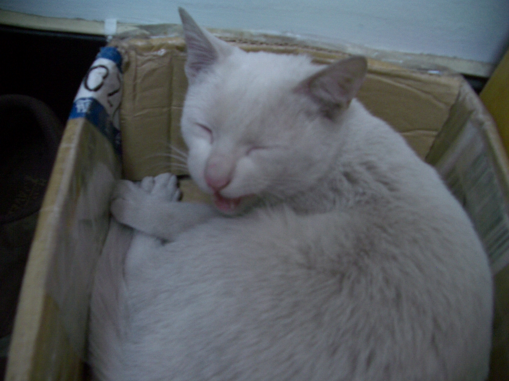 IMGP3378.JPG