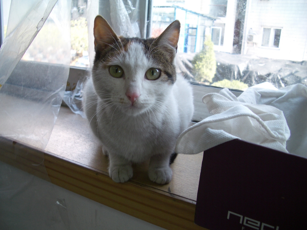 IMGP3417.JPG