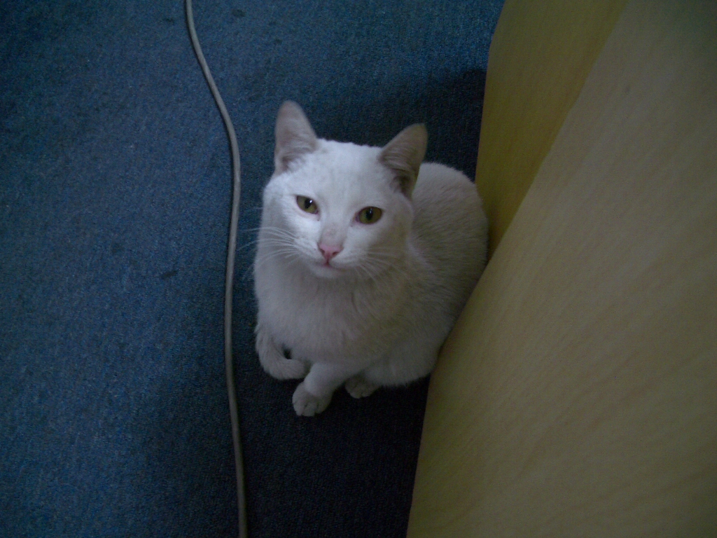 IMGP3448.JPG