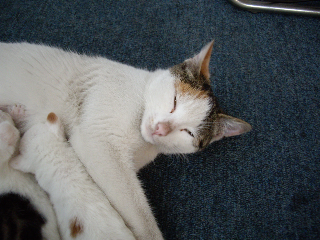 IMGP3522.JPG