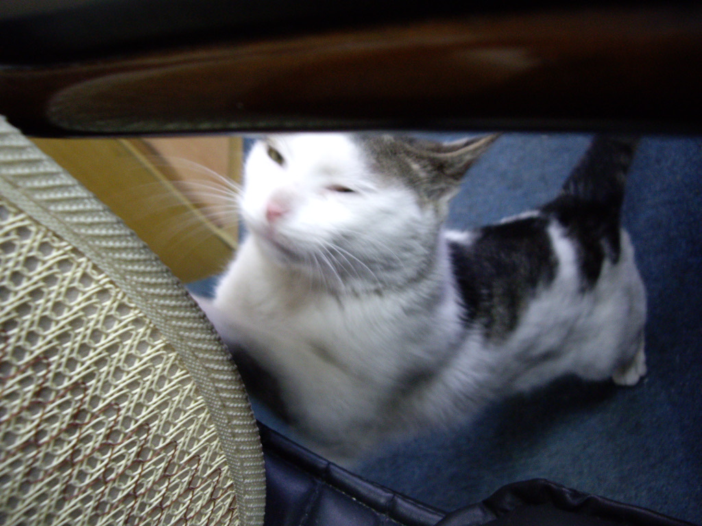 IMGP3687.JPG