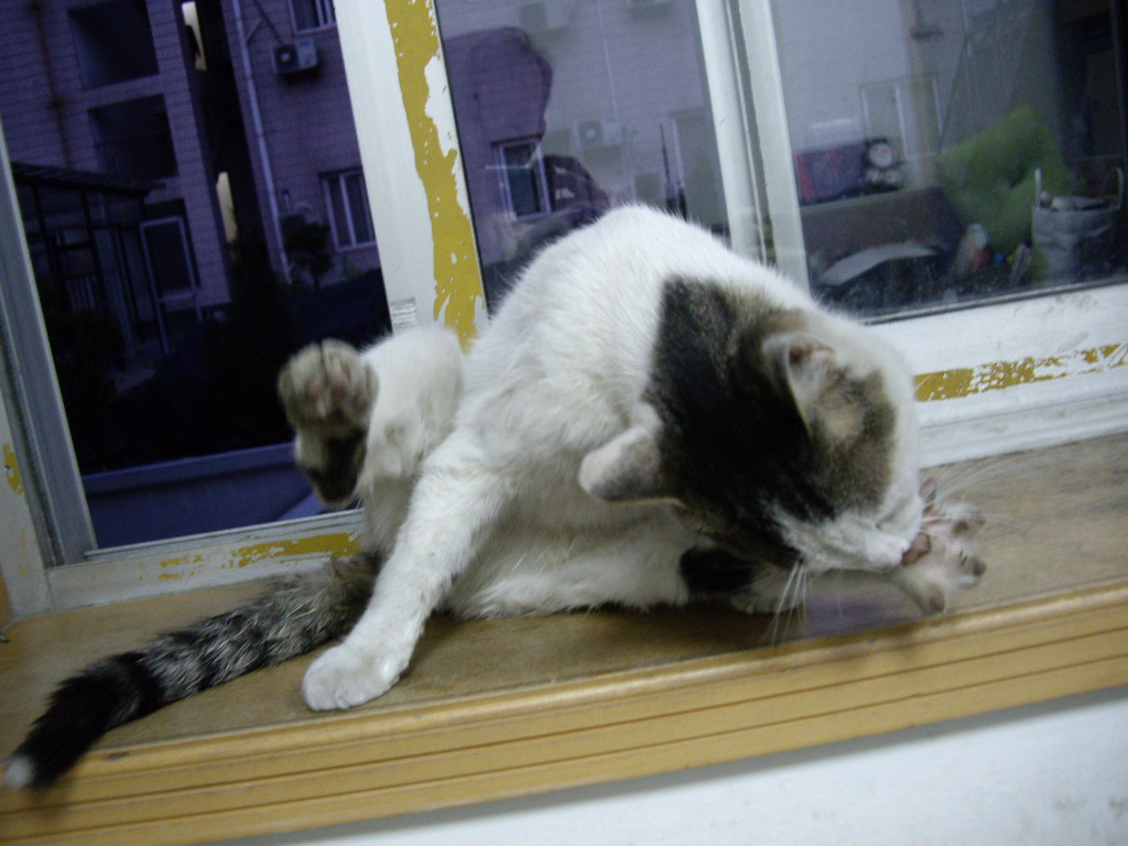 IMGP3734.JPG