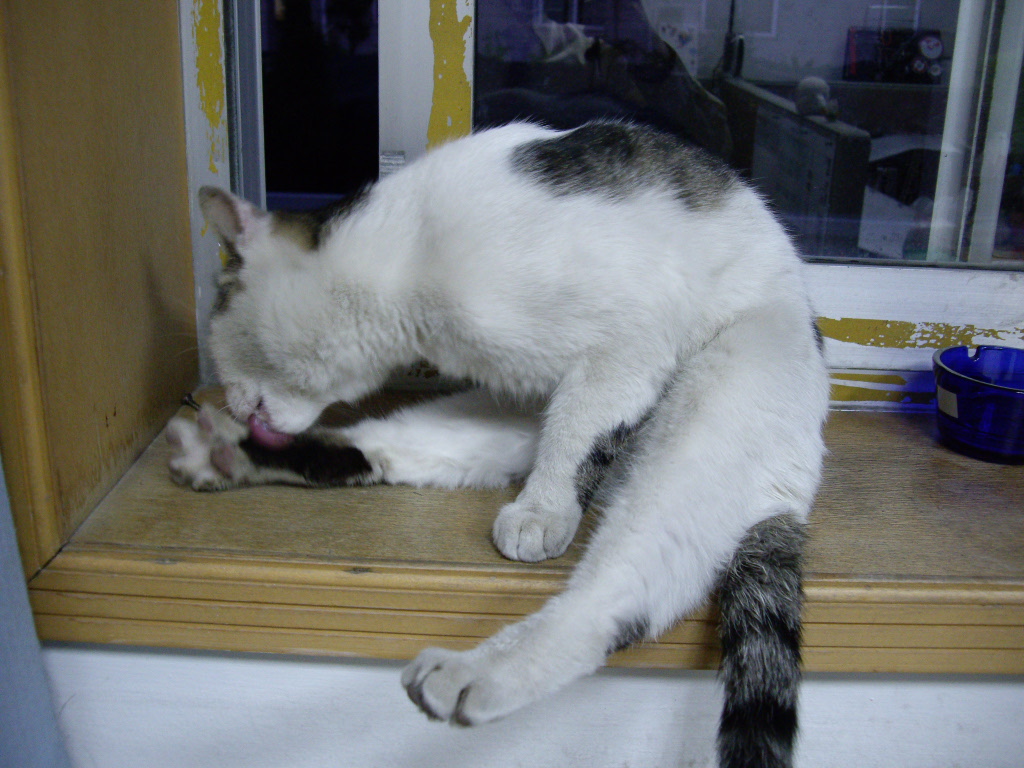 IMGP3736.JPG