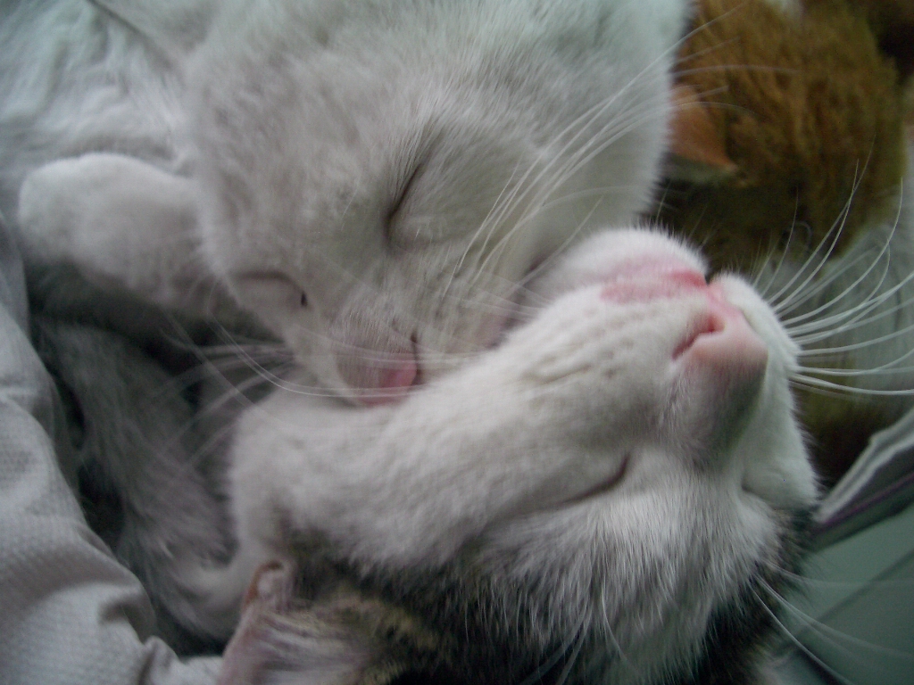 IMGP3746.JPG
