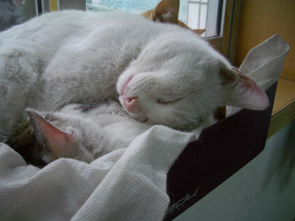 IMGP3750.JPG