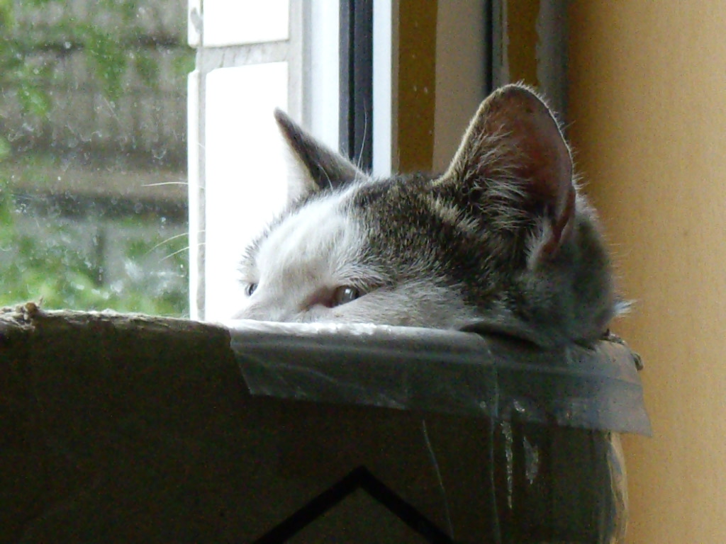 IMGP3751.JPG