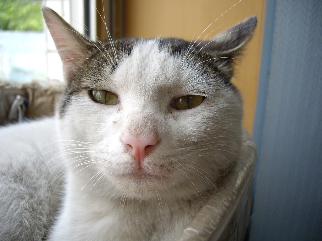 IMGP3763.JPG