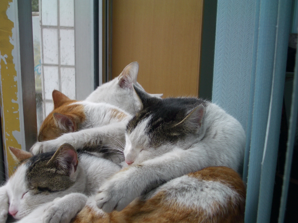 IMGP3765.JPG