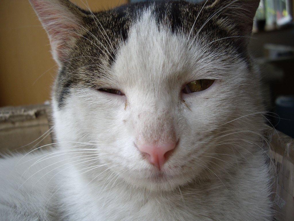 IMGP3768.JPG