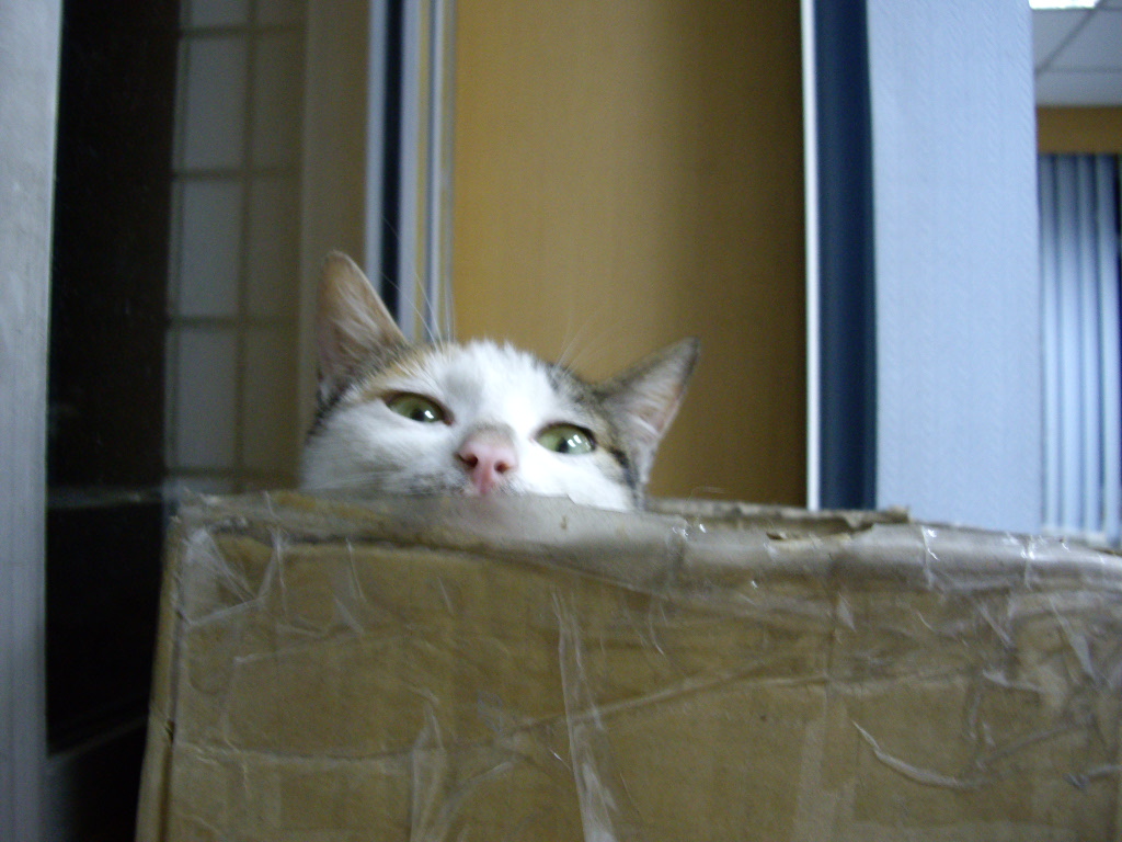 IMGP3780.JPG