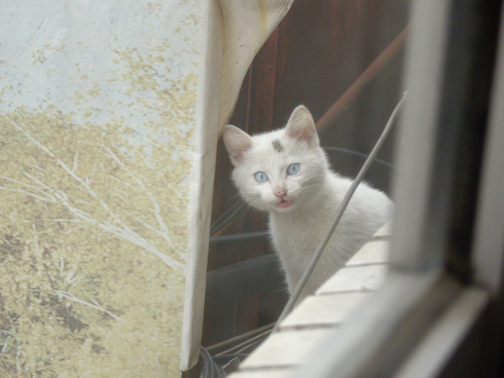 IMGP3797.JPG