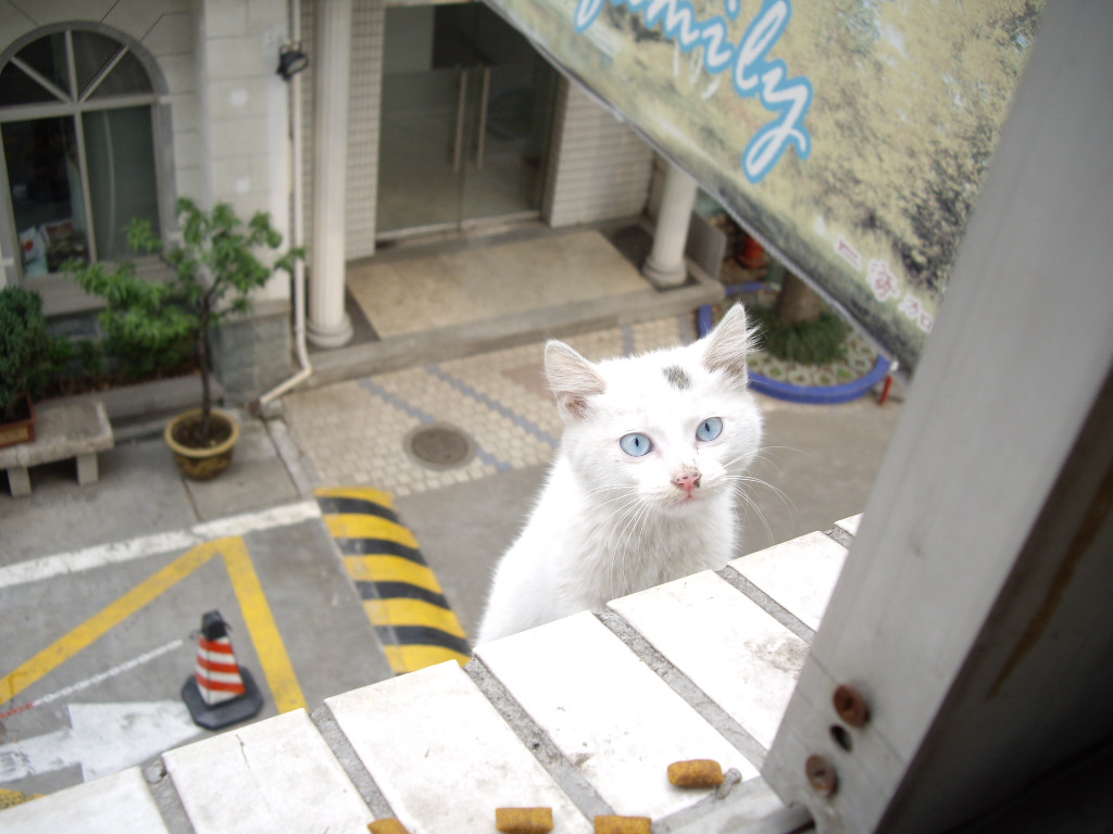 IMGP3800.JPG