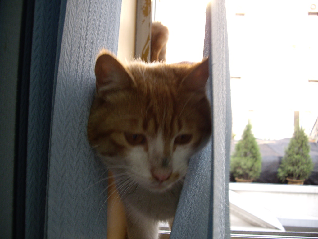 IMGP3826.JPG