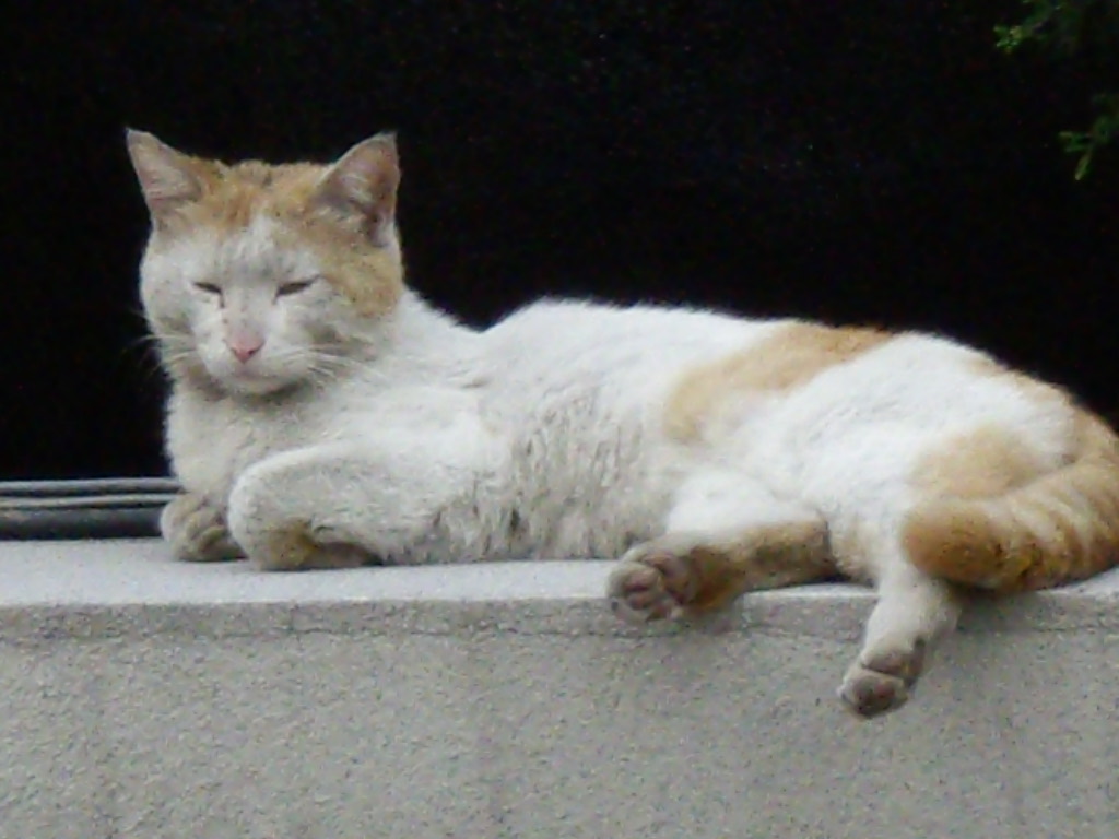 IMGP3845.JPG