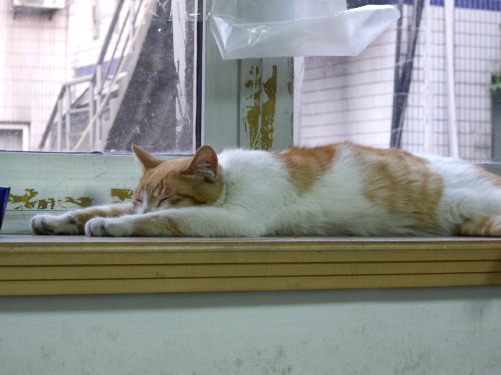 IMGP3882.JPG