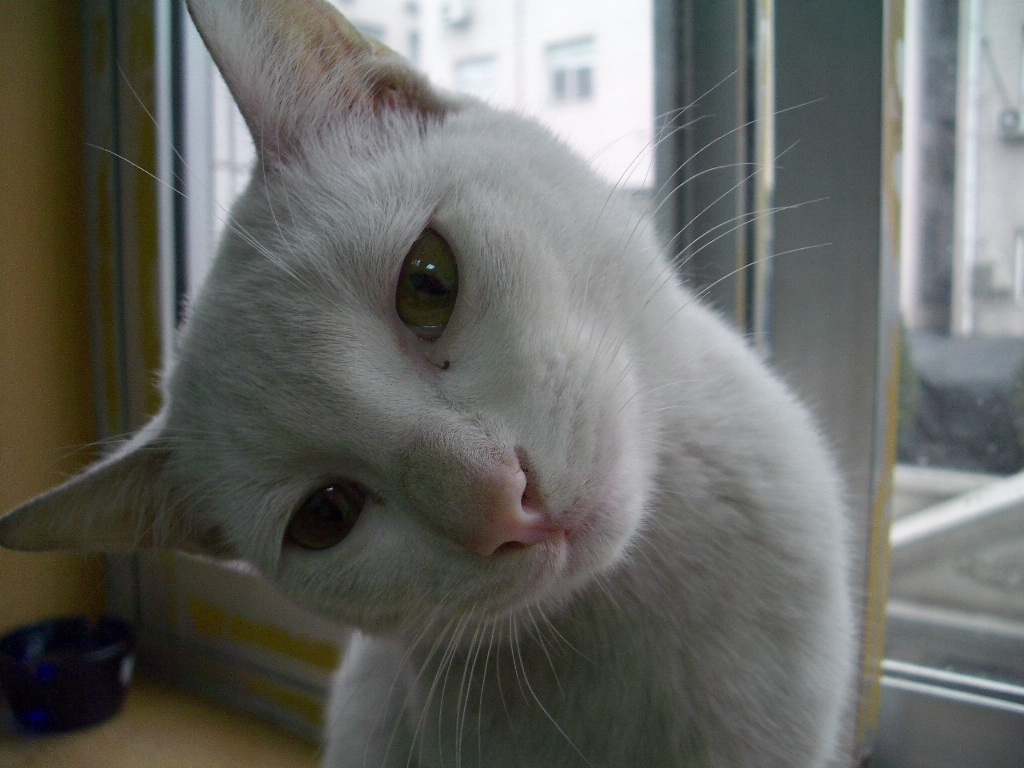 IMGP3919.JPG