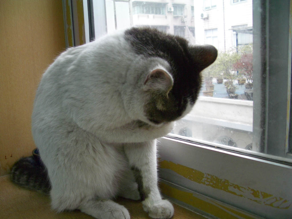 IMGP3933.JPG