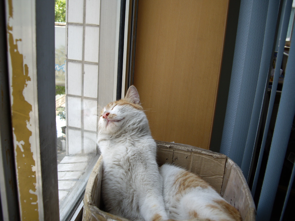 IMGP3936.JPG