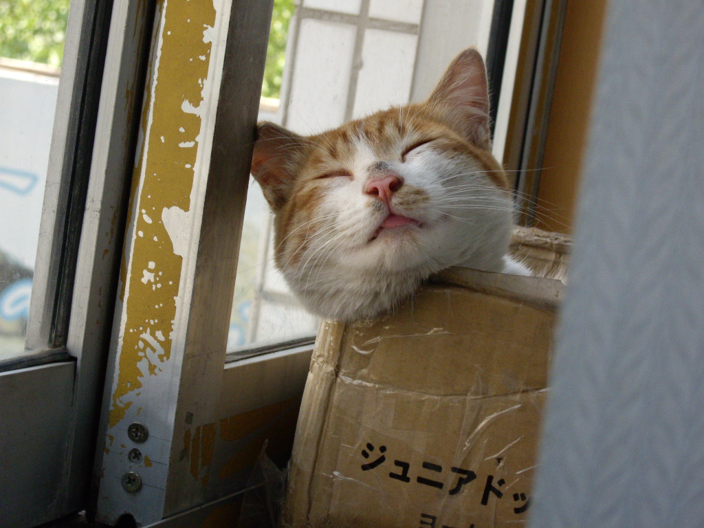 IMGP3943.JPG
