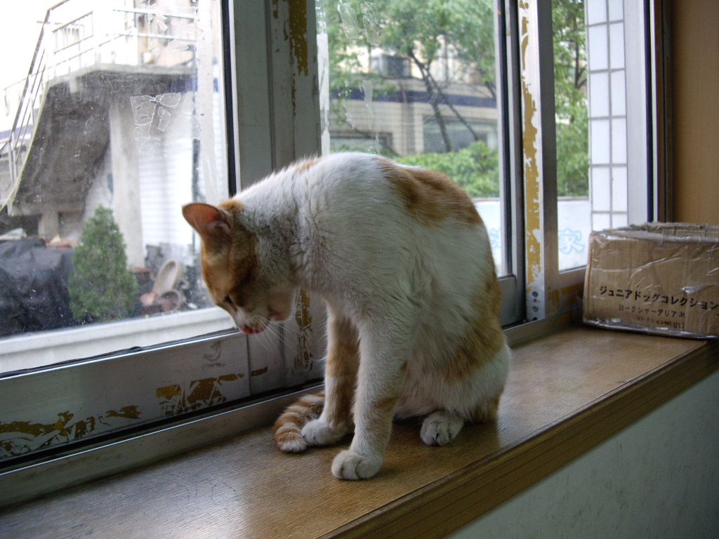 IMGP3948.JPG