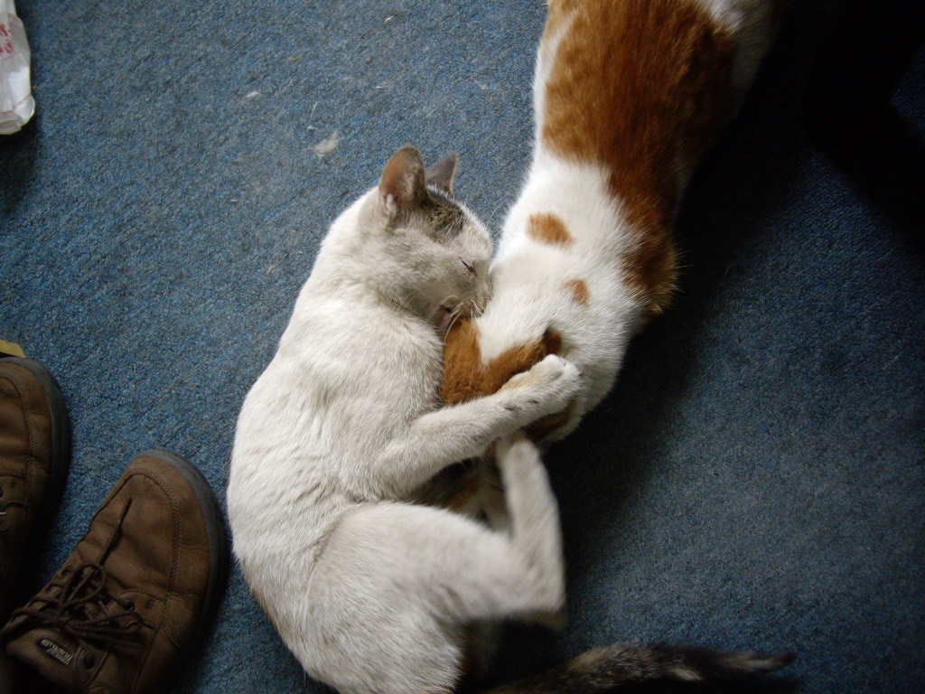 IMGP3964.JPG