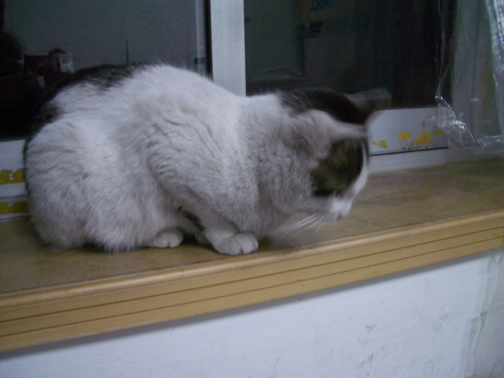 IMGP4209.JPG