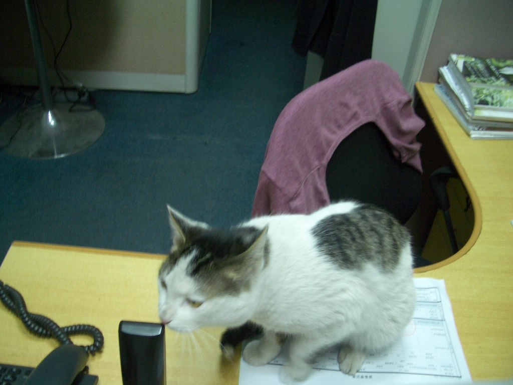 IMGP4460.JPG