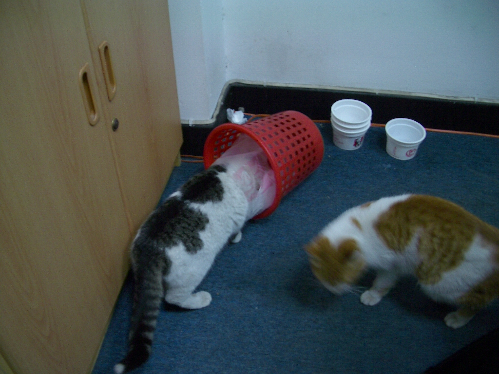 IMGP4479.JPG