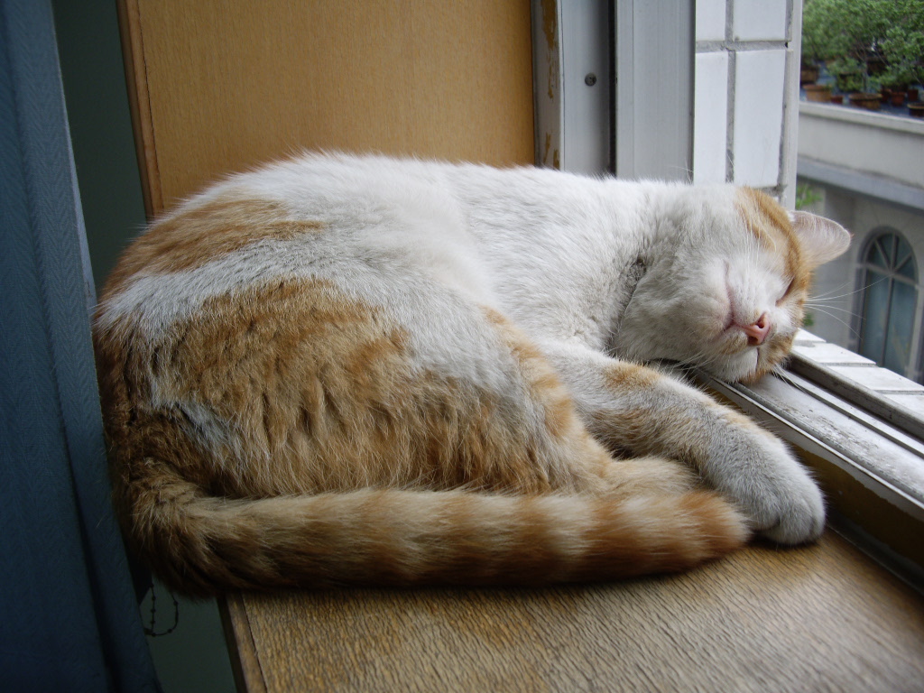 IMGP4488.JPG