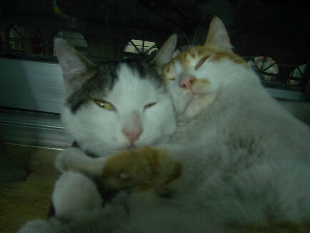 IMGP4659.JPG