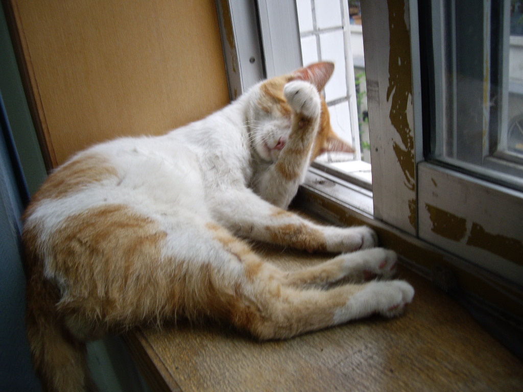 IMGP5114.JPG