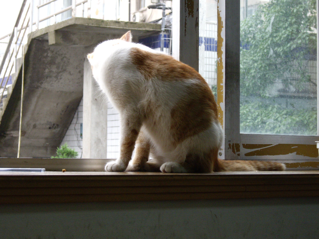 IMGP5220.JPG