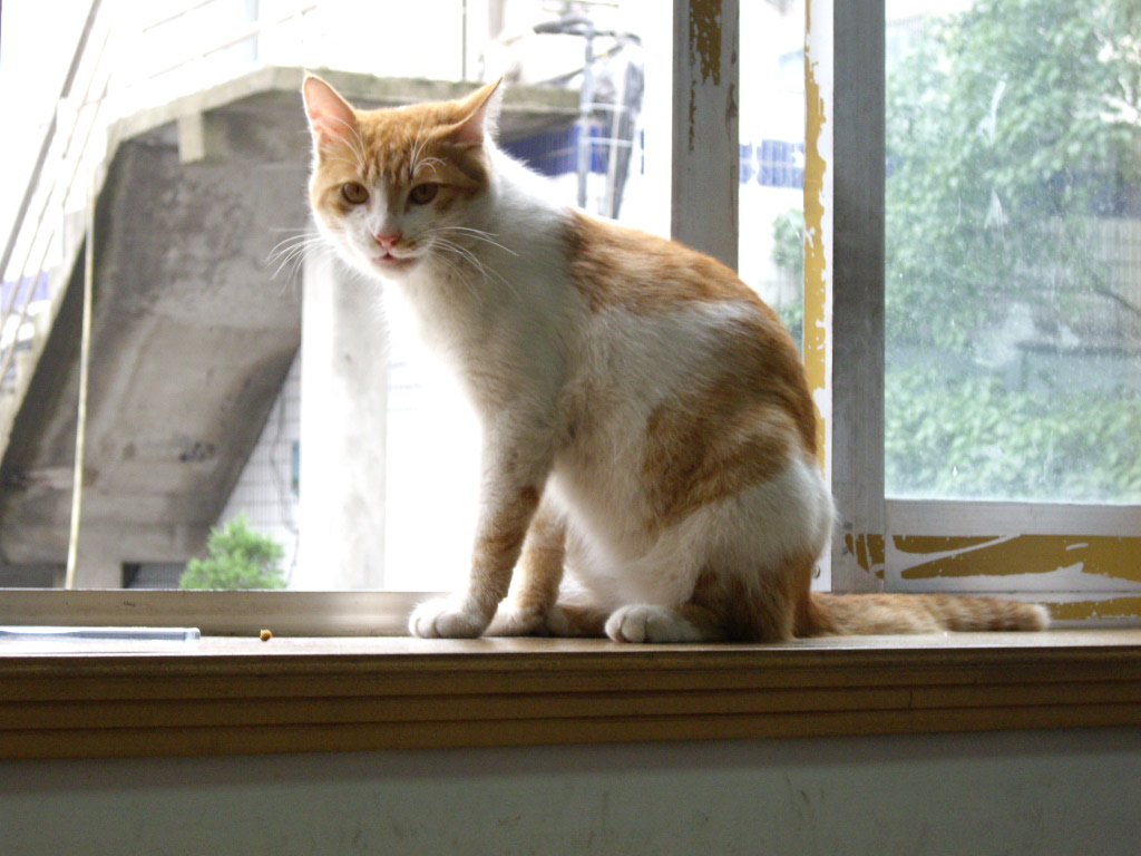 IMGP5221.JPG