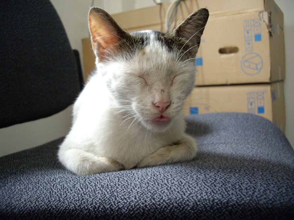 IMGP5257.JPG