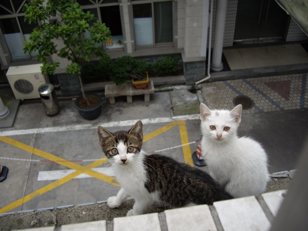 IMGP5428.JPG