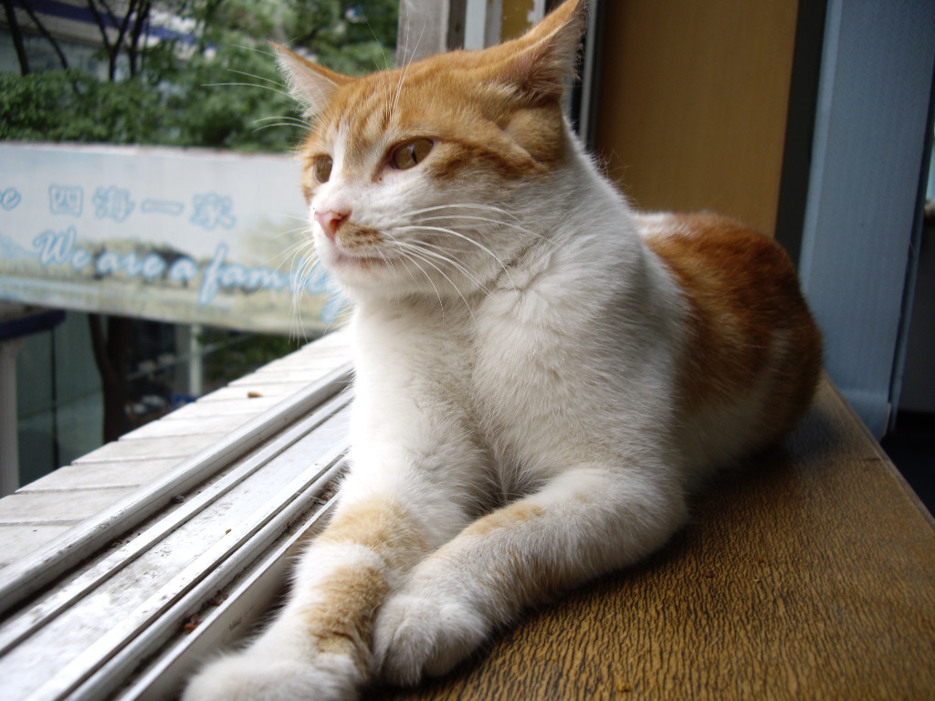IMGP5438.JPG